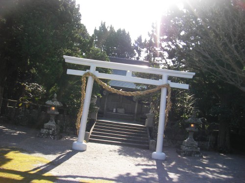 泊神社で初詣.JPG